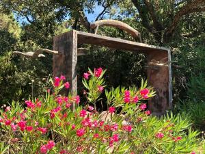 Villas Villa in La Croix-Valmer with Sea Views : photos des chambres