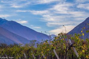 Refugios Pisco Elqui Lodge