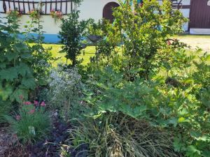 Holiday Home Alsace near Vosges Nature Park