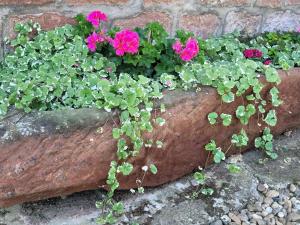 Maisons de vacances Holiday Home Alsace near Vosges Nature Park : photos des chambres