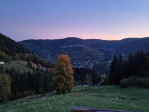 Chalets Chalet in Raon-l'Etape near Lake : photos des chambres
