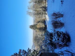 Chalets Chalet in Raon-l'Etape near Lake : photos des chambres