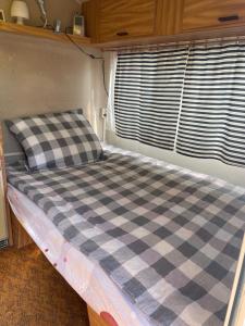 Przyczepa kempingowa w centrum Mielna