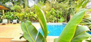 Macondo House Private Heated Pool