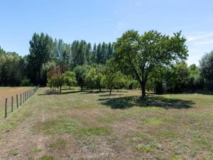 Maisons de vacances Farmhouse in Brueres near Chinon Vineyards : photos des chambres