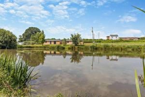 Curlews Rest at Canon Bridge Fishery