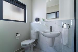 AlimamaSpaces Phillys Whisken