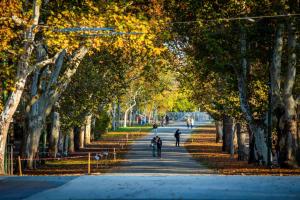 Central Studio - Easy Sleep