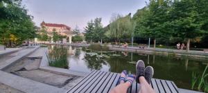 Sunlit Central Hideaway