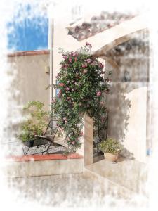 B&B / Chambres d'hotes Bastide YSATIS : photos des chambres