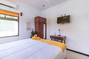 Apartamentos Colores