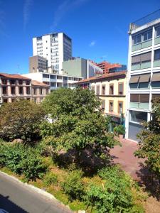 Appartements Bachelor Duplex - hypercentre - metro - wifi : photos des chambres