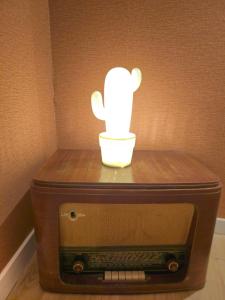 Appartements Bachelor Duplex - hypercentre - metro - wifi : photos des chambres