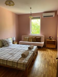 Under the Walnut tree Apartment