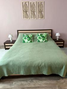 Central Modern Two Bedroom Apartment