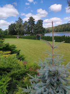 Przystań u Królów