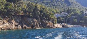 Apartment Boto - 20m from the sea