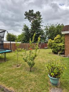 Spacious Three Bedroom Detached Bungalow in Dundee with large Gardens - 4hvězdičkové hotely ve městě Dundee