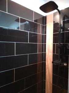 Appartements Gite au Lioran fond de cere : photos des chambres
