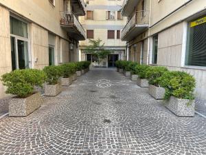 Brain City Center Pagani