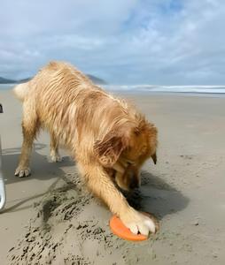 Casa 7 | a 350m da praia