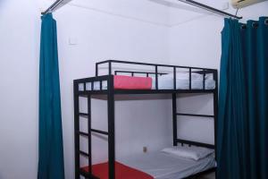 Stellar Bunks