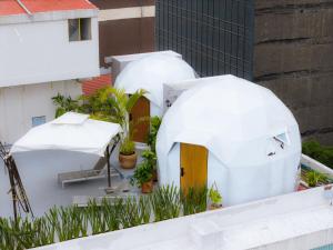 Umbral Sky Domes in Roma Norte