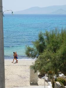 Naxian Breeze Naxos Greece