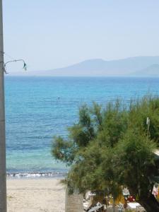 Naxian Breeze Naxos Greece