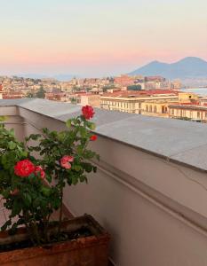 Bed & Breakfast Casamiranapoli Suites