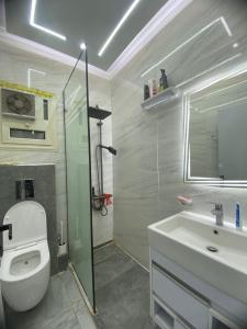 Nasr City Golden City Smart Home