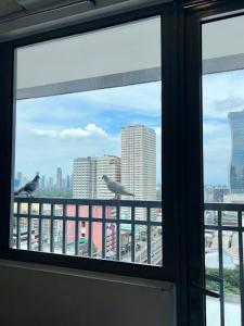 Your Skyline Hideaway