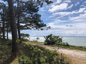 4 person holiday home in Ebeltoft-By Traum