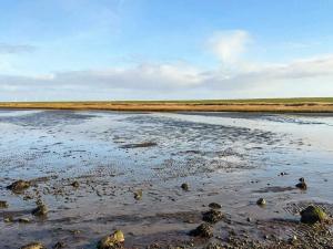 4 star holiday home in Højer