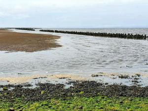 4 star holiday home in Højer