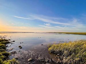 4 star holiday home in Højer