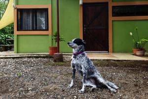 Hospedaje Casa Coyote