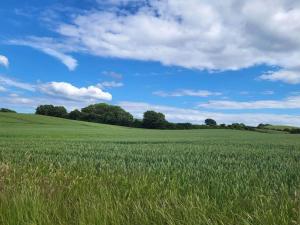 6 person holiday home in Knebel