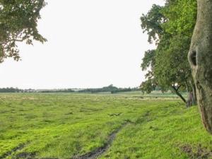 6 person holiday home in Kolind-By Traum