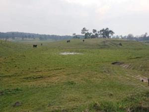 6 person holiday home in Ebeltoft