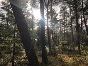 6 person holiday home in Ebeltoft