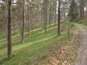 6 person holiday home in Ebeltoft