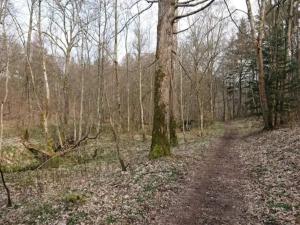 6 person holiday home in Ebeltoft