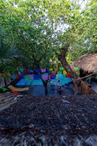 Maui Hostels Tulum