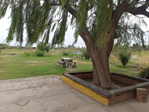 Alala Campo Casa Quinta