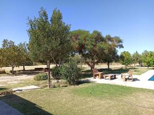 Alala Campo Casa Quinta