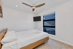 14 Abbott Street - House