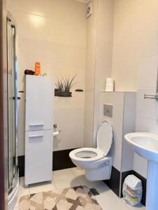 Serenity Studio House