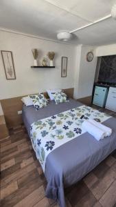hostal andes