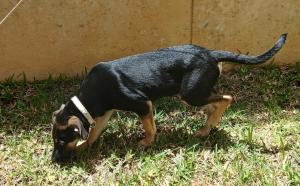 Apartment Rincon de la Verapaz Cobán